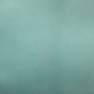 Meet your Posher, Casandra